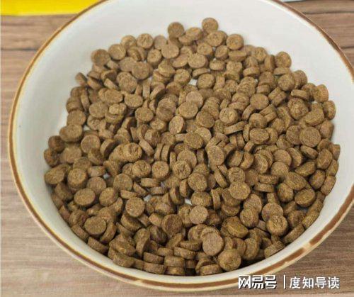 狗粮有营养还是饭有营养？狗粮牌子哪个好(图2)