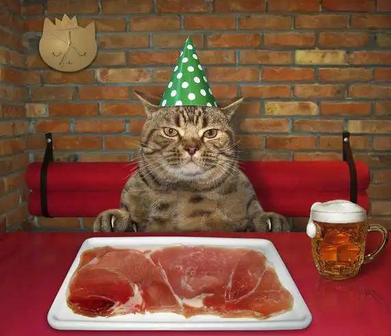 生猫粮检出禽流感猫咪食用后被安乐死相关批次已下架！(图10)