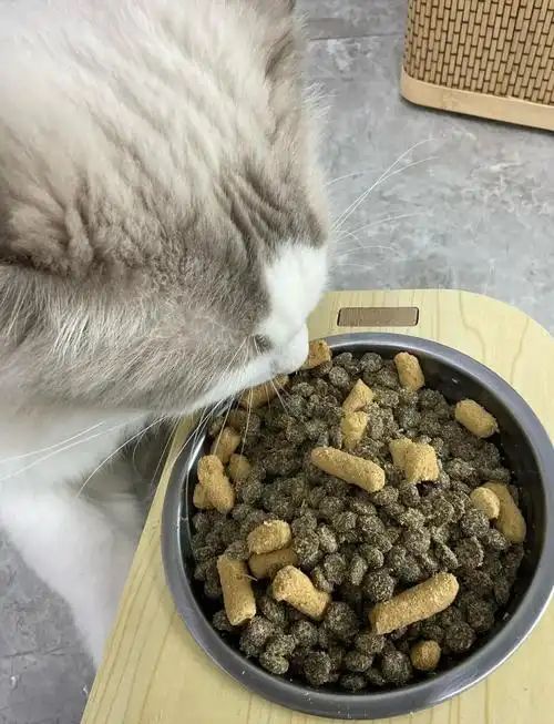 生猫粮检出禽流感猫咪食用后被安乐死相关批次已下架！(图4)