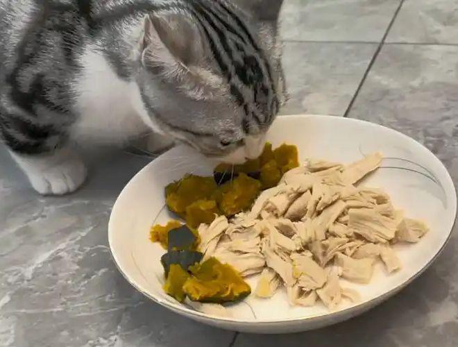 生猫粮检出禽流感猫咪食用后被安乐死相关批次已下架！(图11)