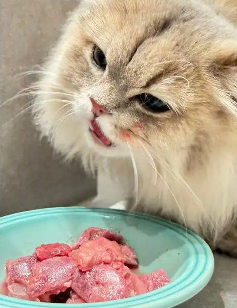 生猫粮检出禽流感猫咪食用后被安乐死相关批次已下架！(图5)