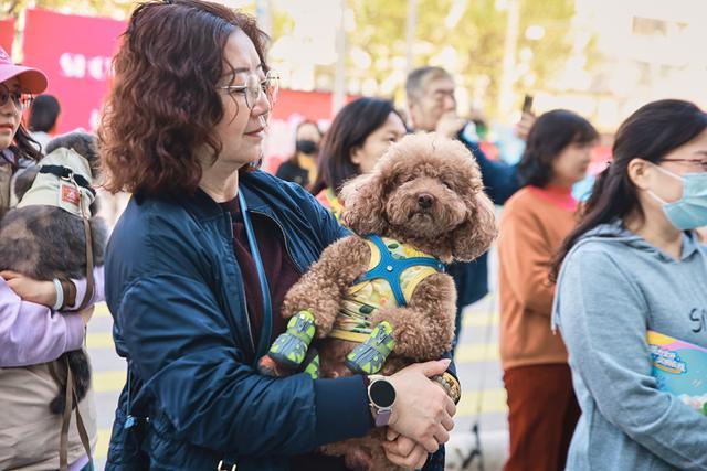 文明养宠萌力全开构建邻里和谐的美好家园(图3)