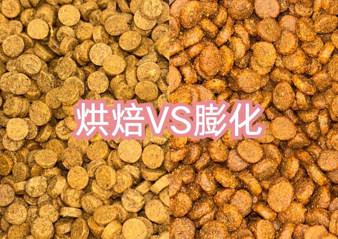 普通狗粮多少钱一斤？狗粮便宜又好的有哪些这5款别买贵啦(图2)