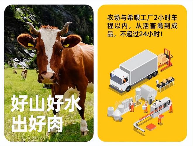 狗粮界的“爱马仕”！希喂狗粮科学配方低价畅享顶级呵护！(图3)