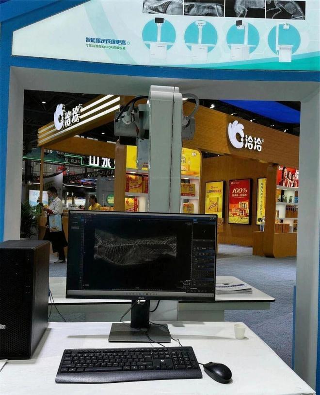 九游体育：合肥猫狗成为“行走GDP”！(图3)