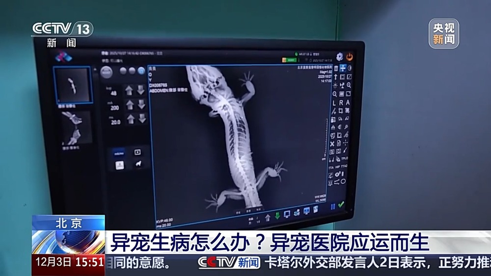 视频丨“异宠”虽潮饲养有道！警惕生物安全风险勿碰法律红线(图4)