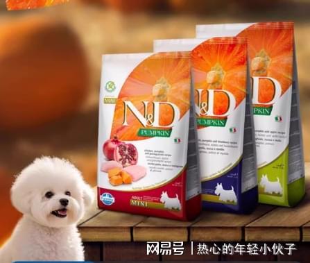 泰迪吃什么狗粮合适？泰迪狗粮排名前十品牌推荐(图8)