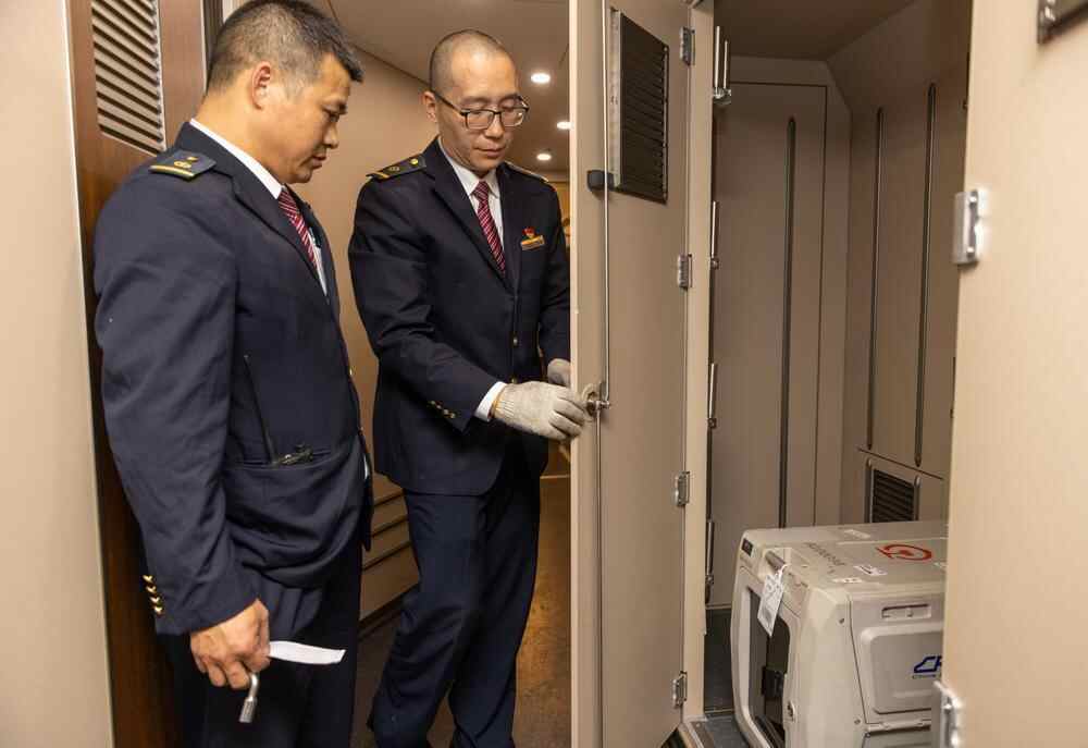 广州白云站开通高铁宠物托运服务首批“毛孩子”安全到站(图3)