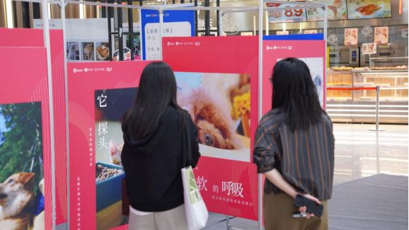 九游官网入口：权利与责任同行！深圳福田区举办文明养宠主题摄影展(图2)