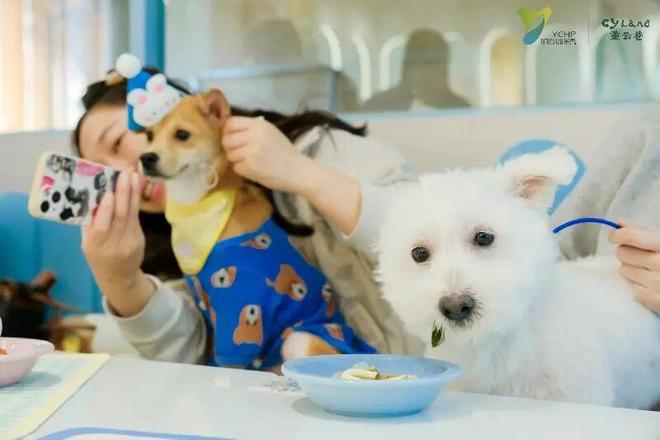 九游官网入口：来重云巷一起“宠物社交”+“潮流运动”！(图13)