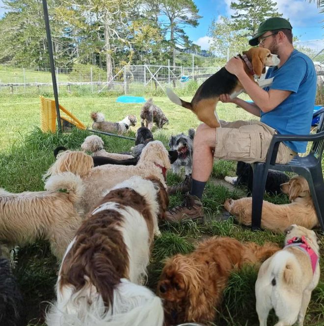 新西兰“专做富人生意”的老牌企业破产！279次投诉、十几万罚款生生拖垮……(图13)