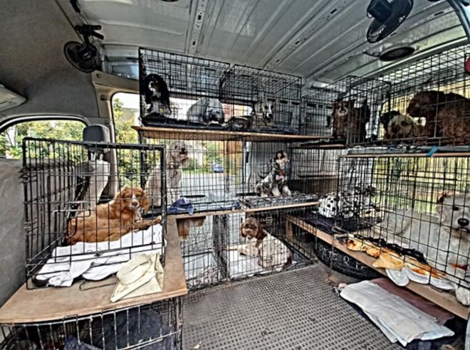 新西兰“专做富人生意”的老牌企业破产！279次投诉、十几万罚款生生拖垮……(图12)