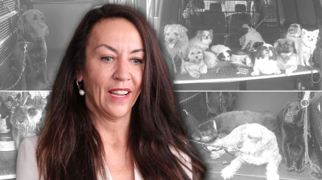 新西兰“专做富人生意”的老牌企业破产！279次投诉、十几万罚款生生拖垮……(图14)