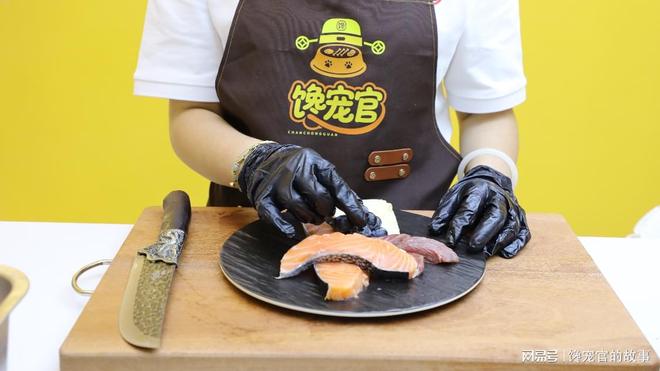 旺宠官：全链护航 解锁人宠共生美好(图2)