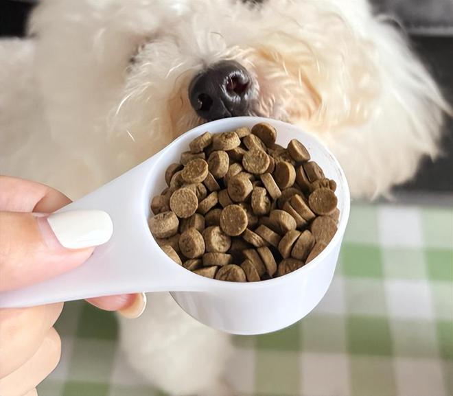 肠胃差的狗狗吃什么狗粮？希喂和拉妃狗粮谁消化率更高？(图3)