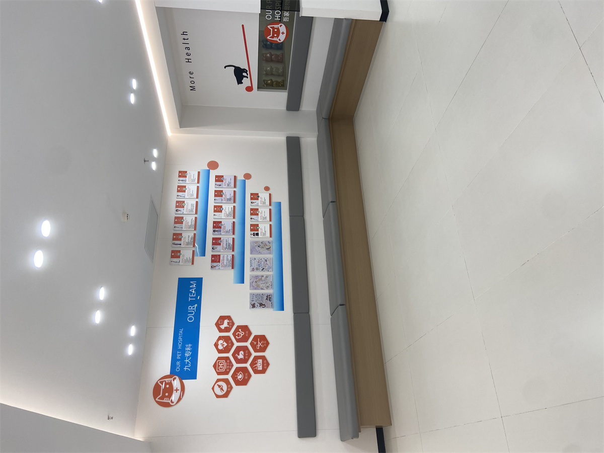 九游体育：上海靠谱宠物医院推荐｜吾家24小时诊疗全时段安心(图2)