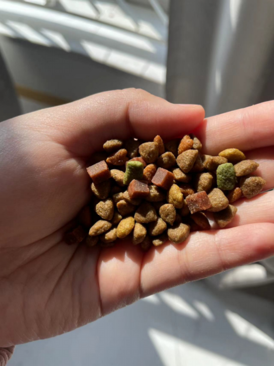 九游app:麦富迪营养森林肉粒系列 大颗肉粒让狗子吃的过瘾(图4)