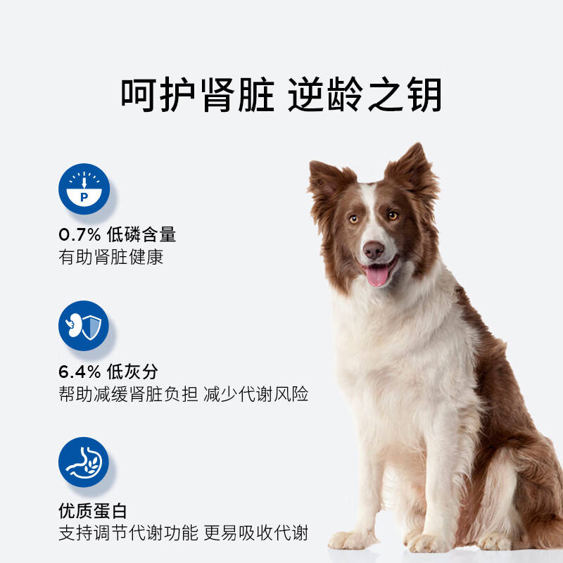 九游app：伯纳天纯狗粮：让你的爱犬在丛林探秘中健康美毛！(图3)