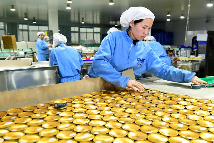 经济观潮丨全国每十袋宠物粮就有三袋产自山东(图2)