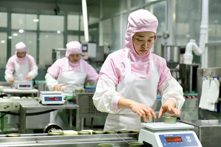 经济观潮丨全国每十袋宠物粮就有三袋产自山东(图4)