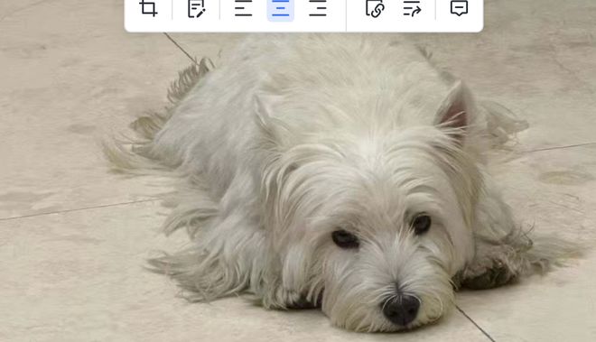 2025养宠不踩坑！实测3款宠物APP买宠防骗、就医应急、寄养无忧(图4)