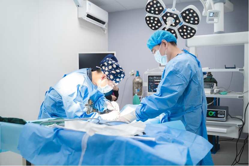 大湾区最大宠物转诊中心落地 罗湖加速“它经济”产业发展(图2)