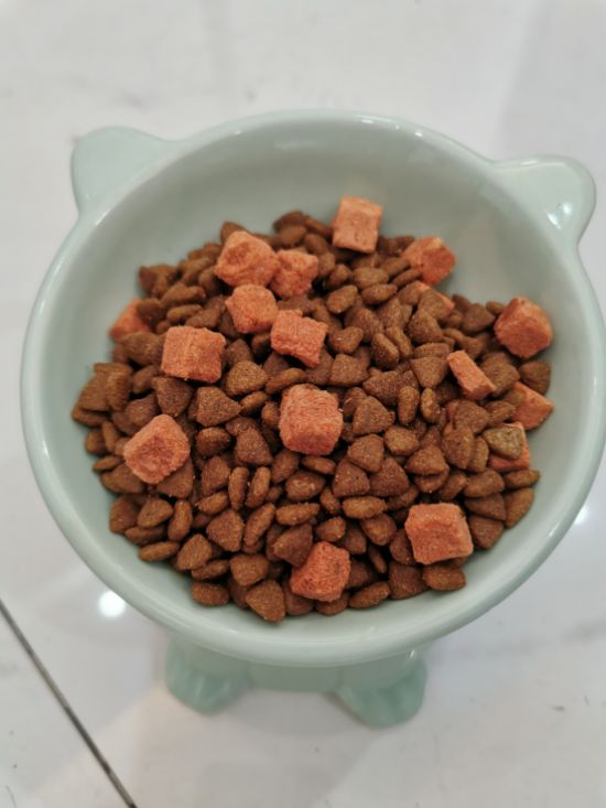 冬日买粮就选麦富迪营养森林三文鱼系列(图3)