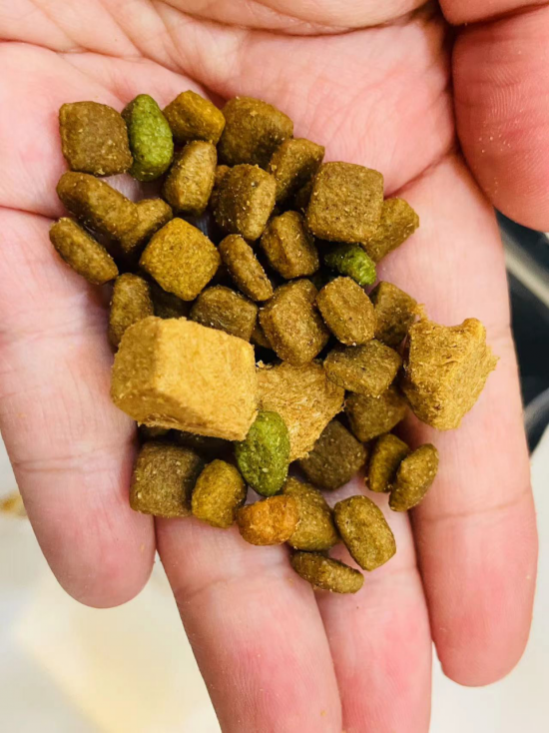 九游体育：麦富迪营养森林冻干犬粮 囤货必备(图2)