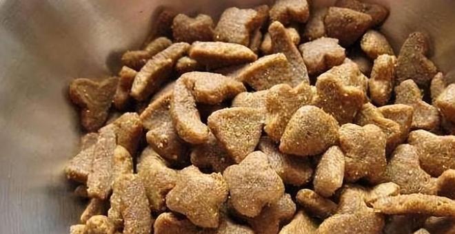 九游体育：品牌大的狗粮就好？别再只会看牌子了好狗粮得看这几点(图4)