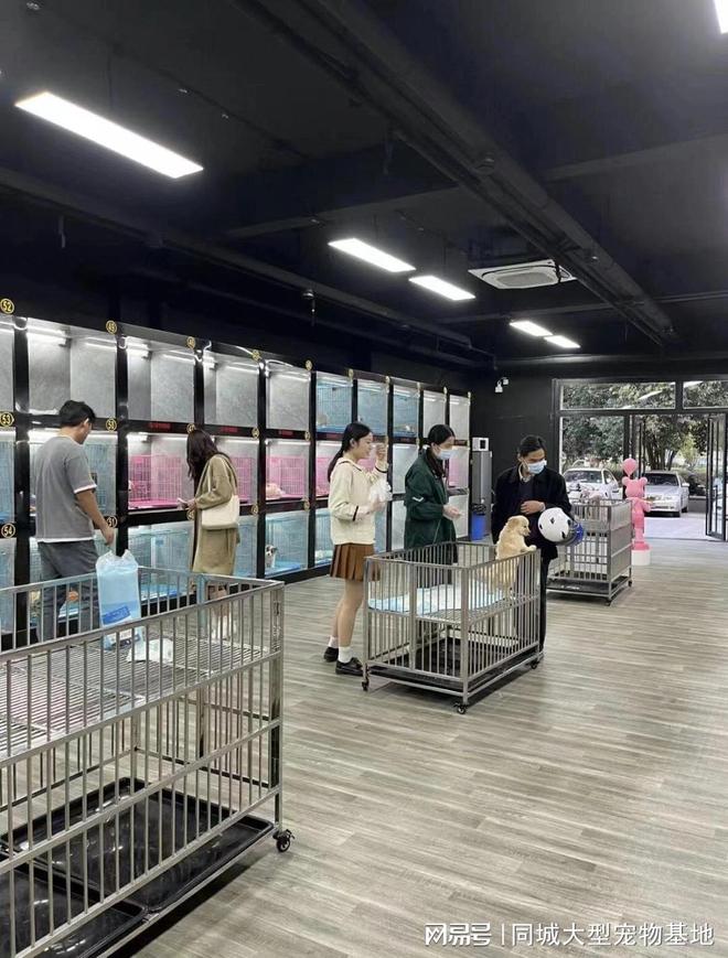 长沙最大的宠物市场在哪里？这里安全可靠能挑选心仪的宠物(图5)