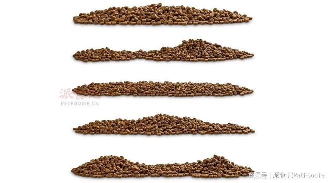 九游官网入口：为什么越来越多的狗主人选择自制狗粮？(图3)