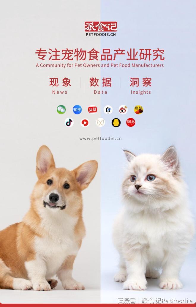 九游官网入口：为什么越来越多的狗主人选择自制狗粮？(图4)