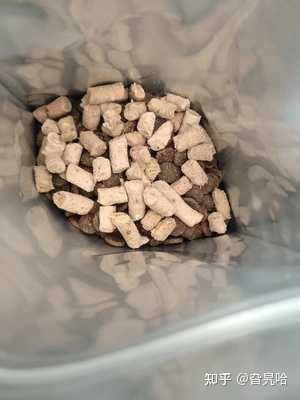 九游app：中国首株自主研发长双歧杆菌获批用于婴幼儿食品(图1)