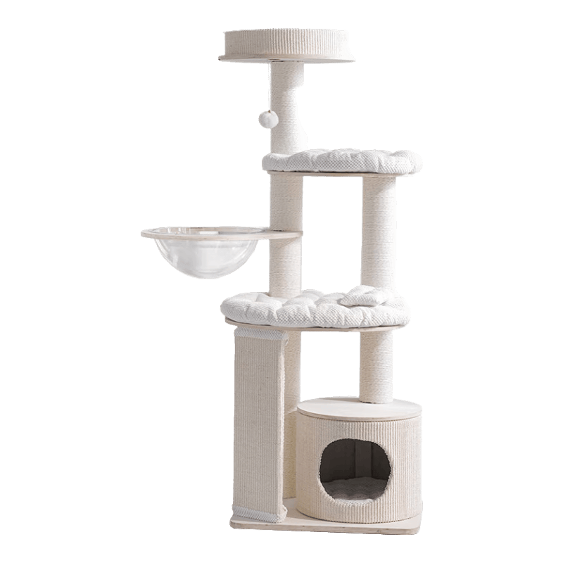 九游官网入口：夸克狗粮：让你的狗狗健康美味买到就是赚到！(图3)