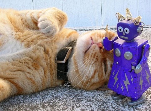 九游官网入口：唯品会发布2025年业绩：净营收1059亿元SVIP活跃用户数保持两位数增长(图1)