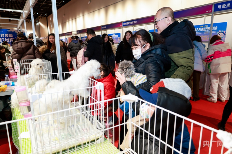 九游体育：2025国际宠物博览会在北京平谷区开幕(图2)