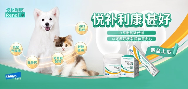 九游官网入口：服务业就业容量再扩大：从业者占比超48%多岗位平均月薪过万(图1)