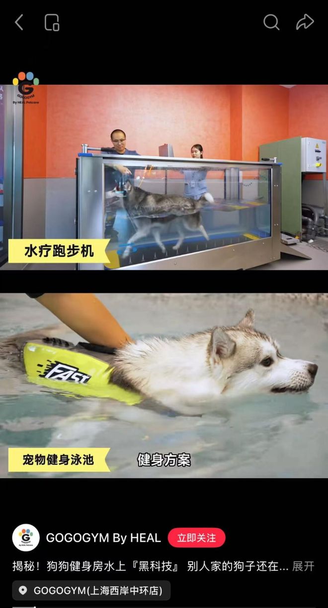 宠物健身房月卡近2000元引热议专家：顺应当前市场趋势(图1)