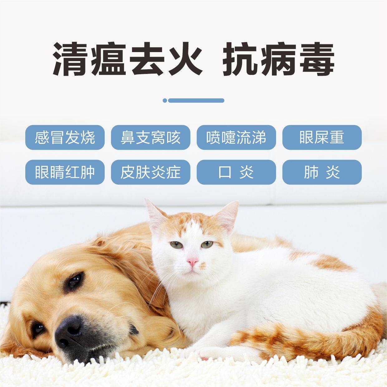 九游官网入口：深化产学研合作 赋能宠物健康产业--兰舜生物与愈尔宠物达成战略合作(图1)