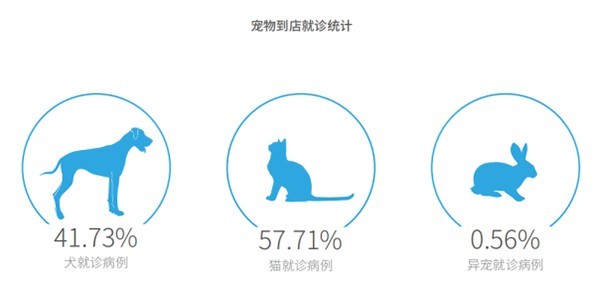 2026年宠物医疗品牌排行榜：江浙专科化医疗服务新范式(图1)