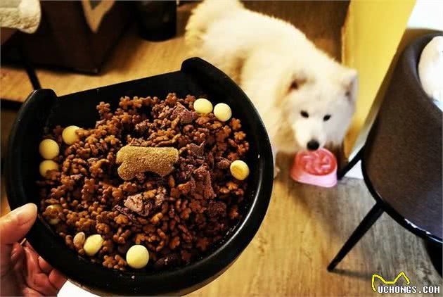 九游app：全手工自制狗粮(图1)
