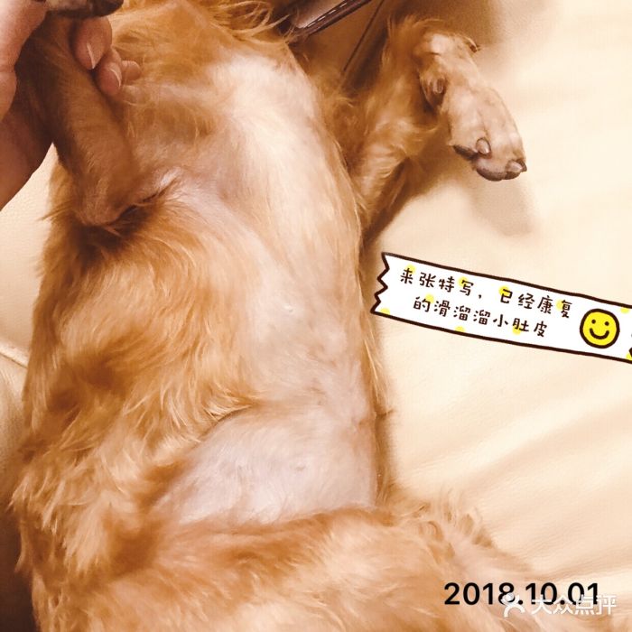 叶小叶的个人主页(图1)