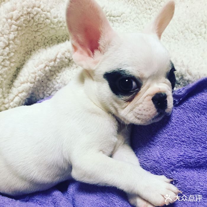 从“人控设备”到“空间懂人” 华为鸿蒙智家解码智慧全生态时代的跃迁之路(图1)