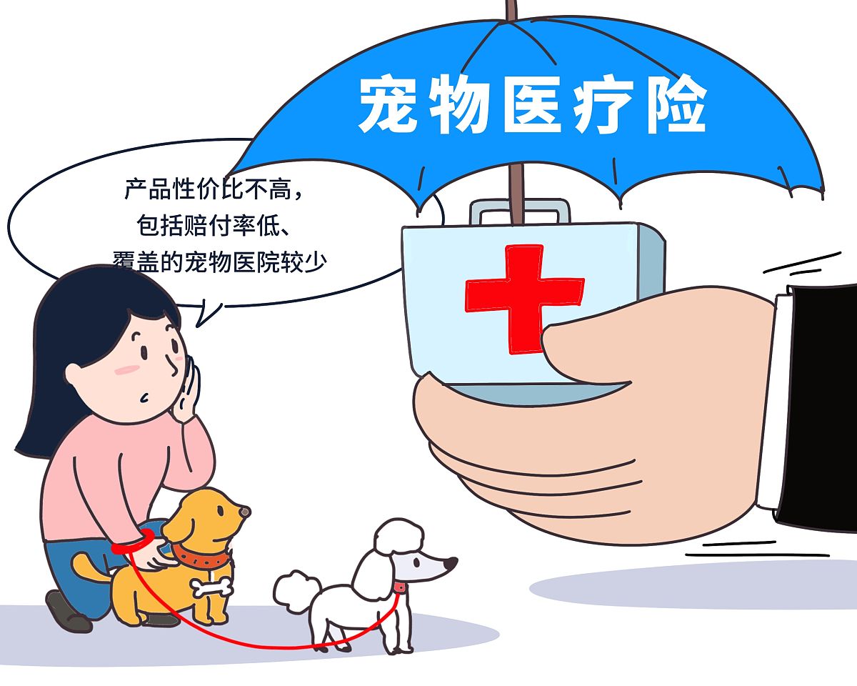 文明养犬：让宠物陪伴更和谐的生活(图1)