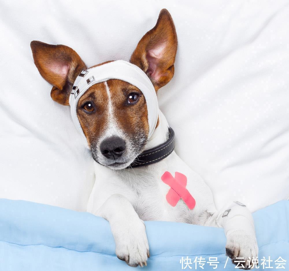 九游体育：春季花粉过敏来袭需求陡增 叮当健康平台过敏药销量全国环比涨超六成(图1)