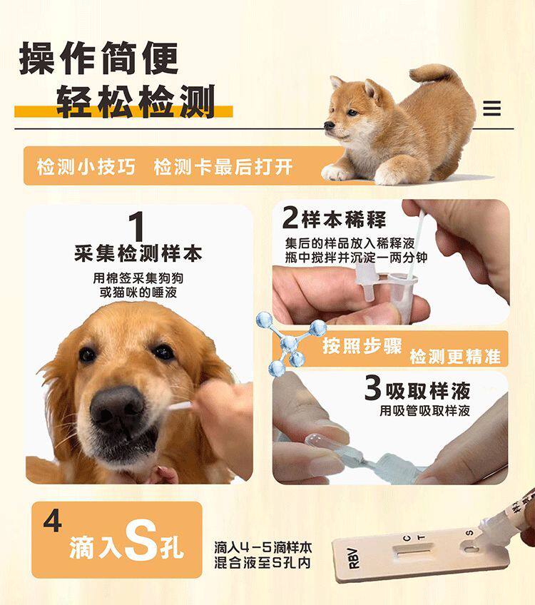 九游体育：宠物医疗行业：发展现状、市场运行态势、企业竞争格局及未来前景预测报告（2026版）(图1)