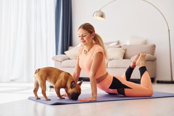 九游app：618选狗粮：手把手教你选出优质天然狗粮让毛孩子健康又开心！(图1)