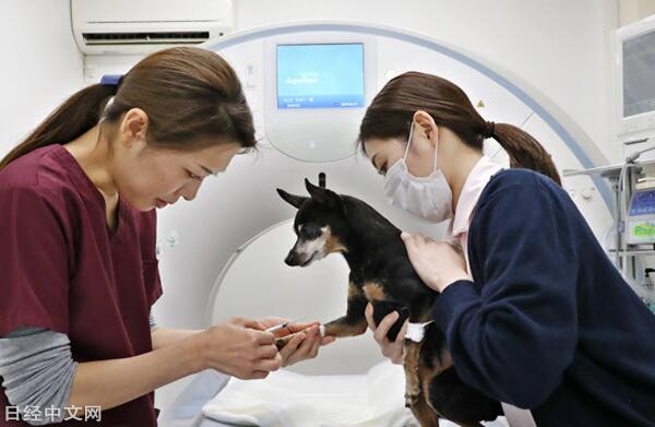 康养周刊2026年No3（0126-0201）(图1)