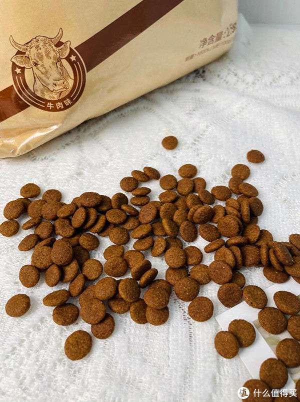九游体育：自制狗粮的方法(图1)
