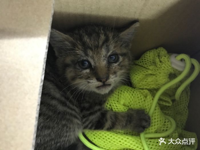 安徽中科视光健康科技集团有限公司创始人柏家富(图1)